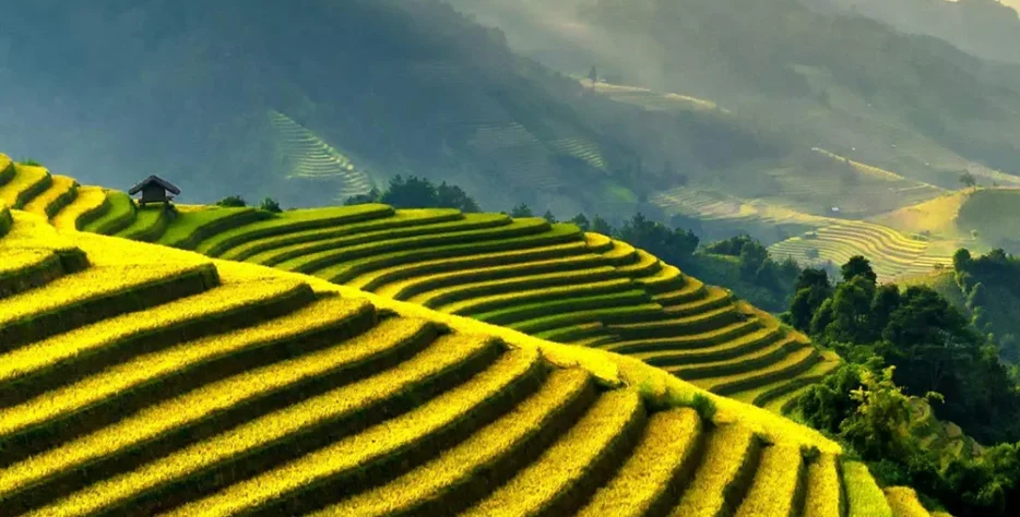 We grow fresh, organic produce using clean methods that protect nature, healthy food.