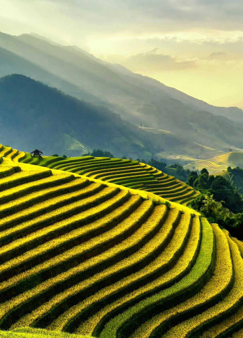 We grow fresh, organic produce using clean methods that protect nature, healthy food.